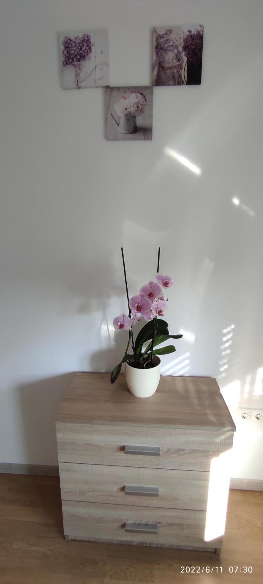 Apartment Zelena Oaza Sisan 75 M2 - 2 Bedrooms Exterior foto